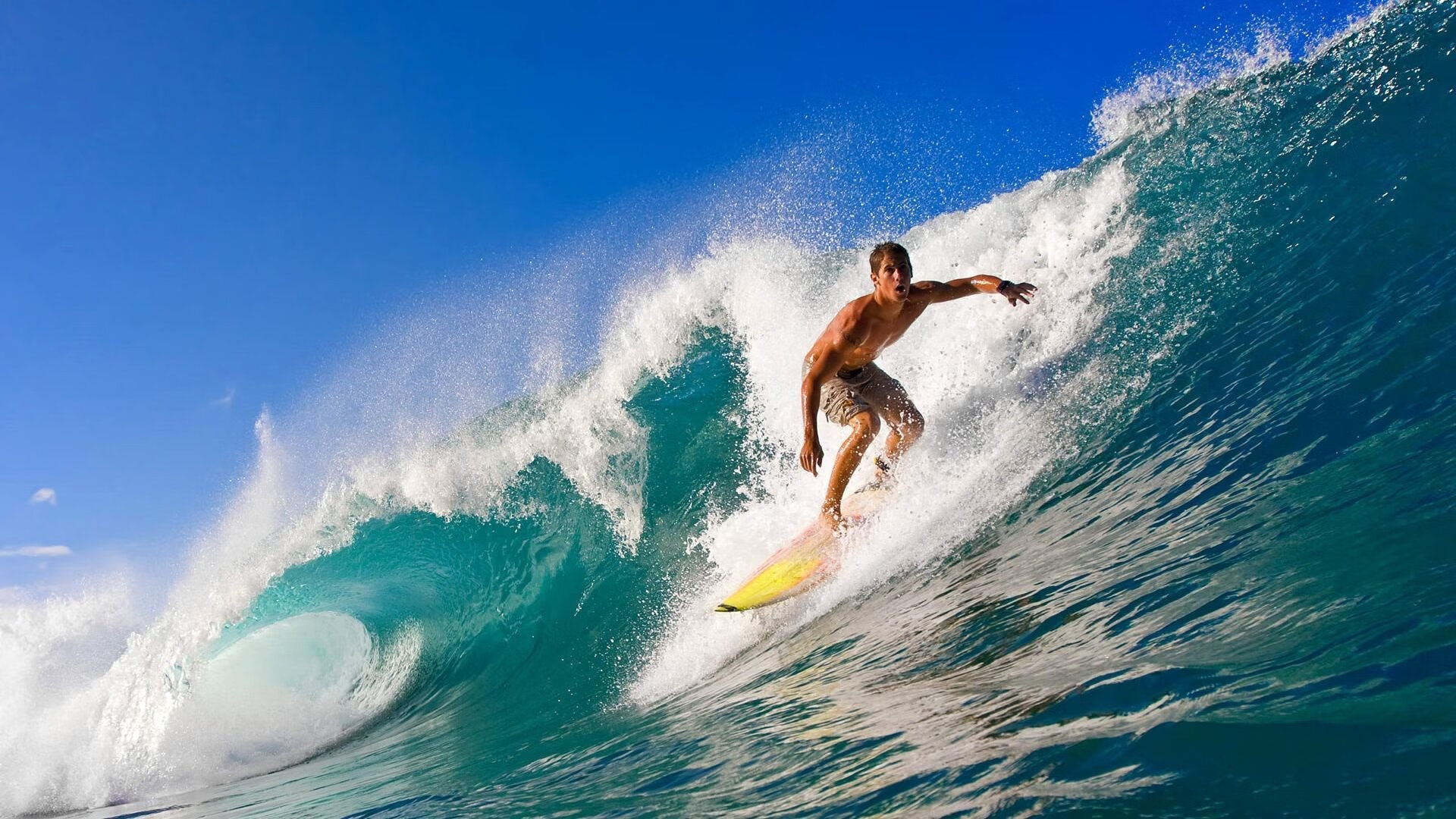 球员荣膺最佳球员